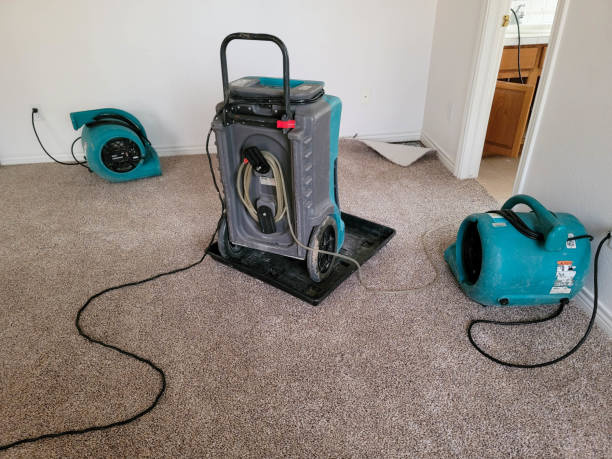 Best Water damage restoration services  in Vian, OK