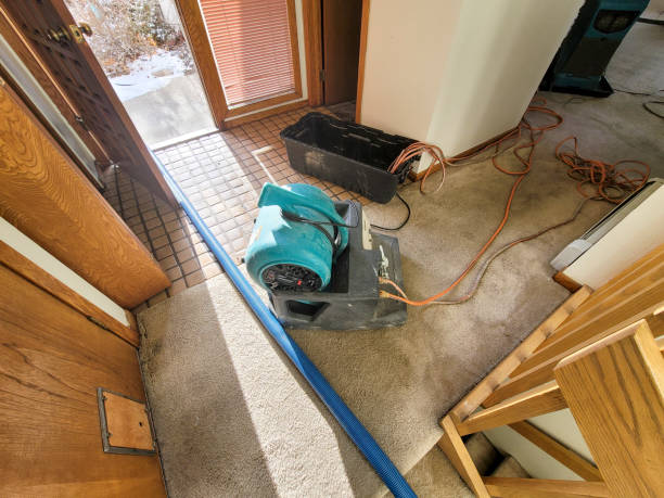 Best Water damage restoration specialists  in Vian, OK