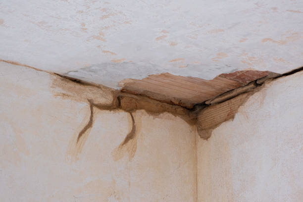 Best Professional water damage repair  in Vian, OK