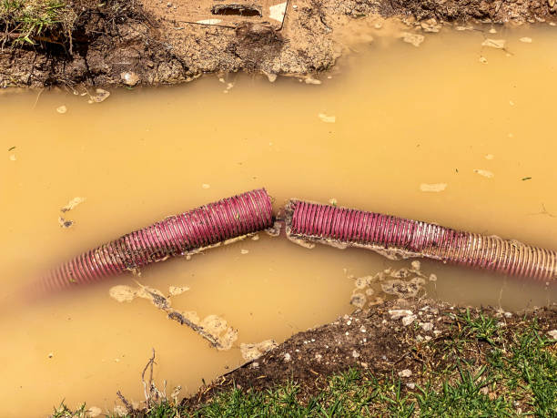Best Mold removal after water damage  in Vian, OK