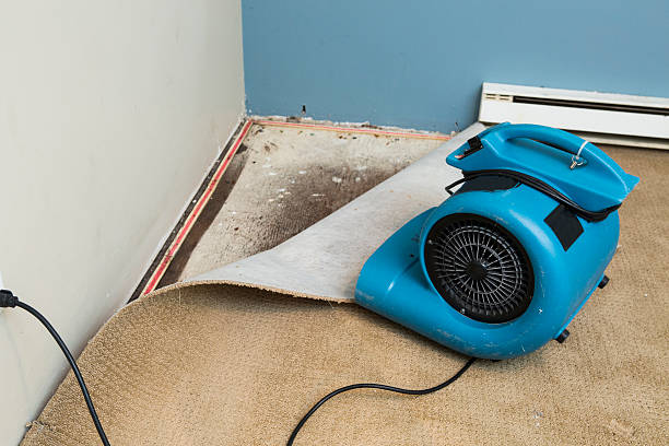 Best 24-hour water damage restoration  in Vian, OK